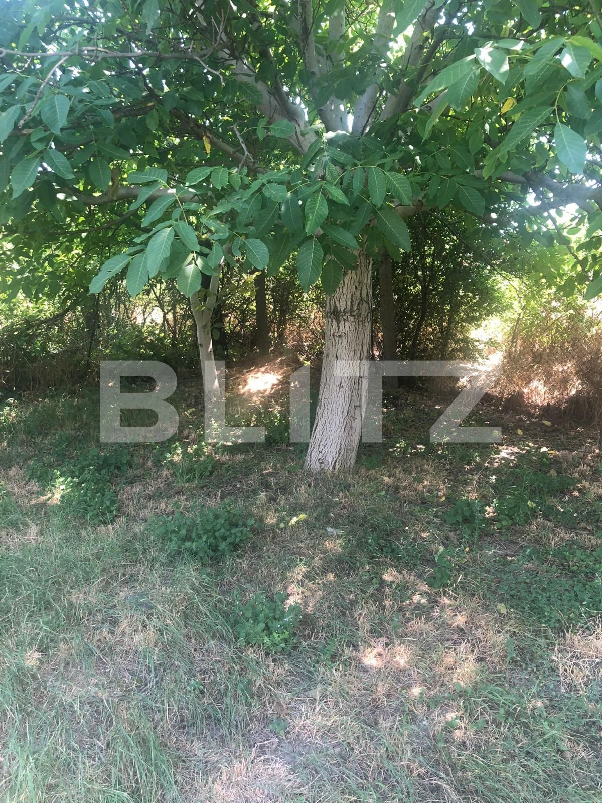 Casa de vânzare 4 camere Mehala - 91582CV | BLITZ Timișoara | Poza15