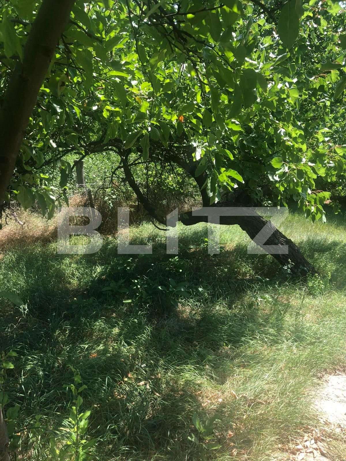 Casa de vânzare 4 camere Mehala - 91582CV | BLITZ Timișoara | Poza16