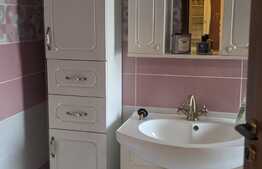 Ocazie investitie! Casa individuala 220 mp utili, 763 mp teren Dumbravita