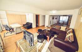 Apartament de 2 camere, petfriendly, 90 mp, in zona Modern