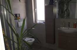 Casa tip duplex, 90 mp utili, 300 mp teren, Mosnita Veche