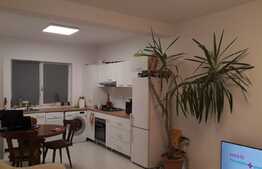 Casa tip duplex, 90 mp utili, 300 mp teren, Mosnita Veche