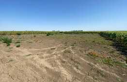 Oportunitate! Teren intravilan 705 mp, front de 16 ml, Dumbravita