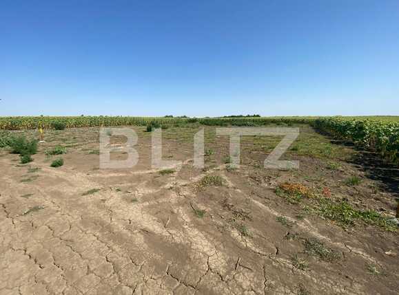 Teren de vânzare Dumbravita - 92106TV | BLITZ Timișoara | Poza1