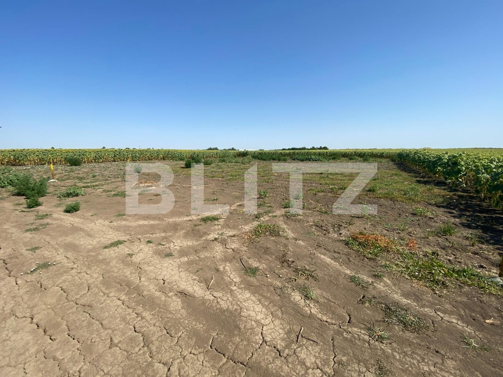 Teren de vânzare Dumbravita - 92106TV | BLITZ Timișoara | Poza1