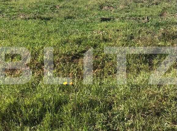 Teren de vânzare Exterior Sud - 92246TV | BLITZ Timișoara | Poza1