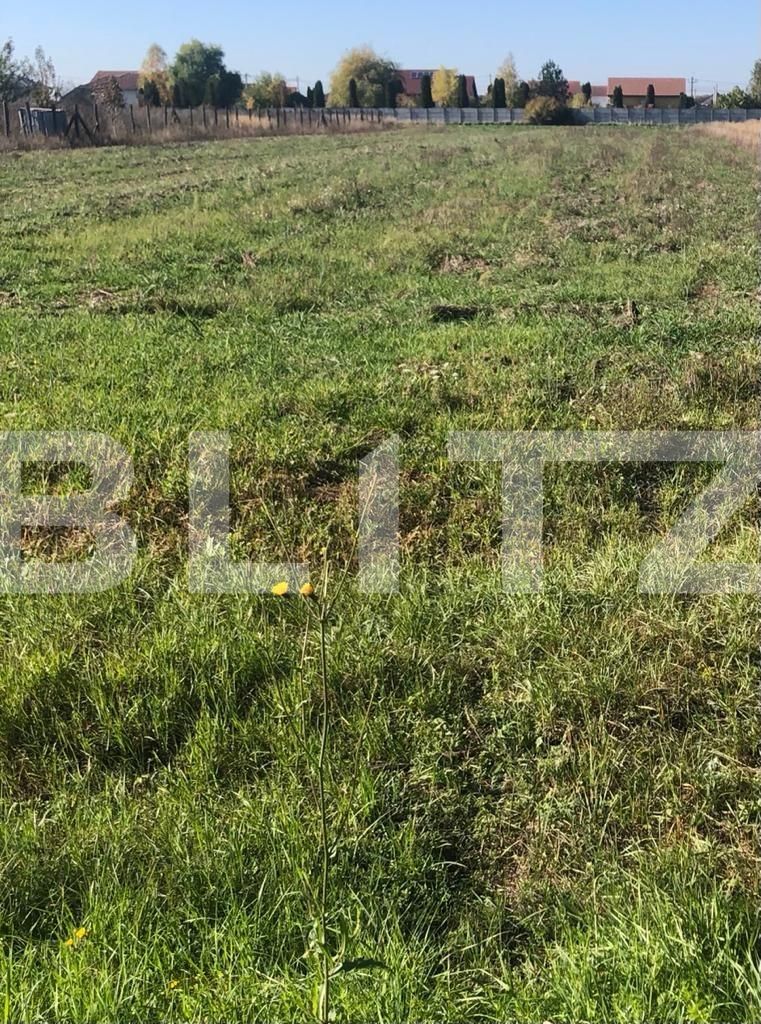 Teren de vânzare Exterior Sud - 92261TV | BLITZ Timișoara | Poza2