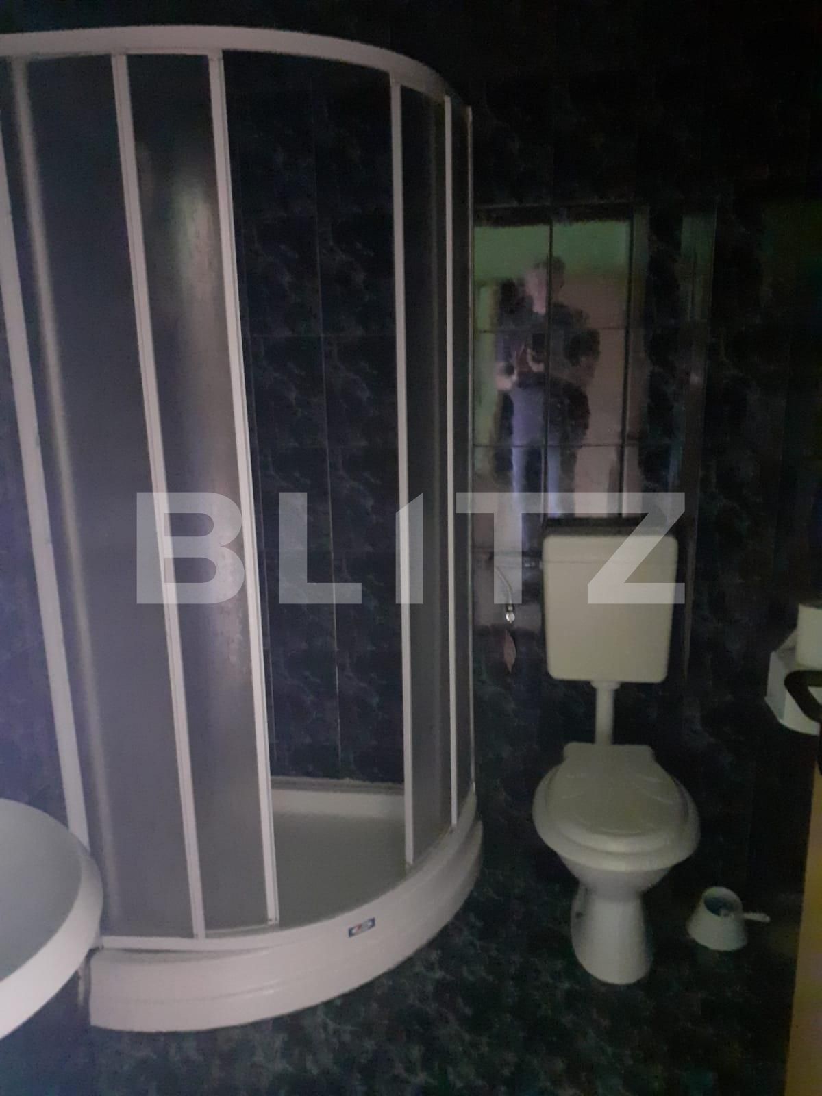 Spațiu comercial de vânzare Telegrafului - 92346SVC | BLITZ Timișoara | Poza12