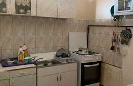 Apartament de 2 camere, 95 mp, mobilat/utilat, in zona Operei