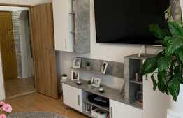 Apartament de 2 camere, 40mp, etaj intermediar, zona Iosefin