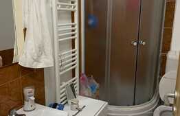 Apartament de 2 camere, 40mp, etaj intermediar, zona Iosefin