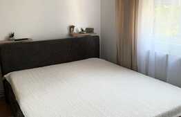 Apartament de 2 camere, 40mp, etaj intermediar, zona Iosefin