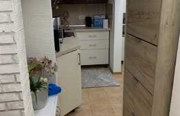 Apartament de 2 camere, 40mp, etaj intermediar, zona Iosefin