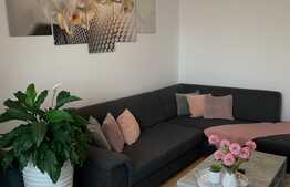 Apartament de 2 camere, 40mp, etaj intermediar, zona Iosefin