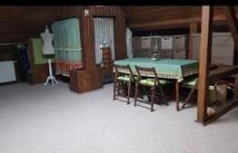 Casa de 400 mp, teren 440 mp, terasa, in Mosnita Noua