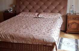 Casa de 400 mp, teren 440 mp, terasa, in Mosnita Noua