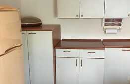 Casa de 400 mp, teren 440 mp, terasa, in Mosnita Noua