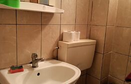 Apartament 1 camera, 21 mp, zona Buziasului