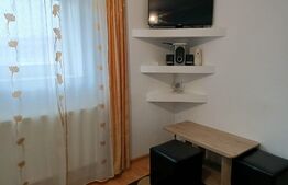 Apartament 1 camera, 21 mp, zona Buziasului