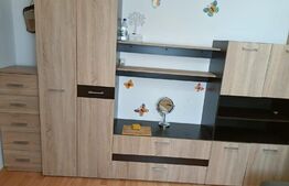 Apartament 1 camera, 21 mp, zona Buziasului