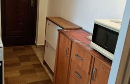 Apartament 1 camera, 21 mp, zona Buziasului