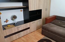 Apartament 1 camera, 21 mp, zona Buziasului