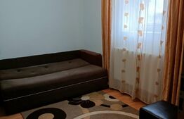 Apartament 1 camera, 21 mp, zona Buziasului