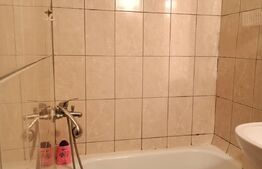 Apartament 1 camera, 21 mp, zona Buziasului