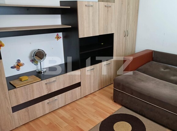 Garsonieră de vânzare Buziasului - 92881AV | BLITZ Timișoara | Poza2