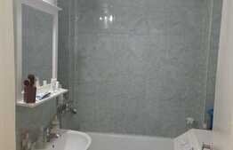 Apartament 2 camere, 51 mp, zona Iosefin