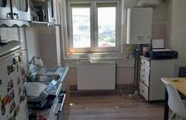 Apartament 2 camere, 51 mp, zona Iosefin