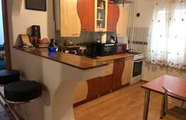 Apartament 2 camere, 48 mp, semidecomandat, zona Torontalului