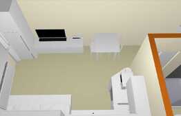 Apartament 1 camera, 20 mp, decomandat, zona Buziasului