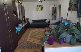 Apartament 2 camere, 48 mp, etaj intermediar, zona Buziasului