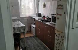 Apartament 2 camere, 48 mp, etaj intermediar, zona Buziasului