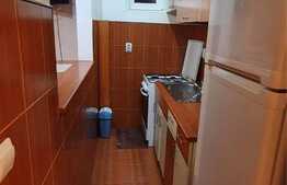 Apartament 2 camere, 40 mp, mobilat/utilat, zona Dacia