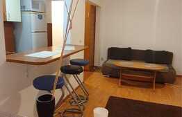 Apartament 2 camere, 40 mp, mobilat/utilat, zona Dacia