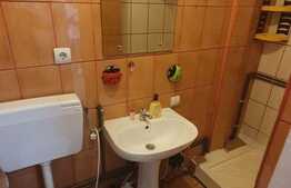 Apartament 1 camera, 22 mp, zona Lipovei