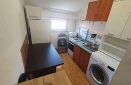 Apartament 1 camera, 22 mp, zona Lipovei