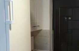 Apartament 1 camera, 16 mp, zona Take Ionescu