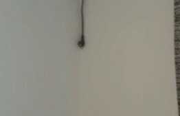 Apartament 1 camera, 16 mp, zona Take Ionescu