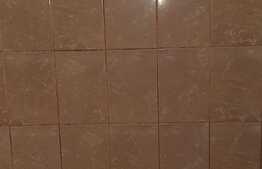 Apartament 1 camera, 12 mp, zona Iosefin