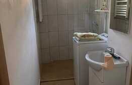 Apartament 2 camere, 40 mp, zona Dacia