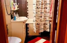 Apartament 2 camere, 60 mp, zona Freidorf