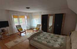 Casa 3 camere, 120 mp, 300 mp teren, zona Cetatii