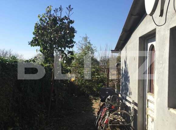 Casa de vânzare 2 camere Utvin - 93039CV | BLITZ Timișoara | Poza4