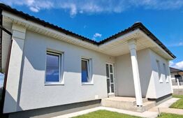 Casa 4 camere, 110 mp, 500 mp teren, zona Padureni