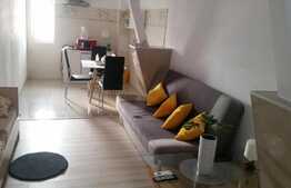 Pensiune de 11 camere, 600 mp, zona Lipovei