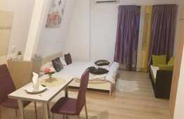 Pensiune de 11 camere, 600 mp, zona Lipovei