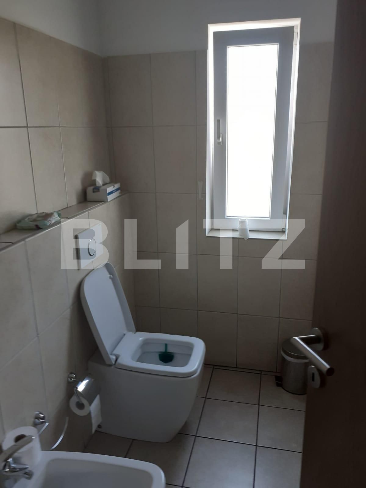 Spațiu industrial de vânzare Sagului - 93115SVI | BLITZ Timișoara | Poza10